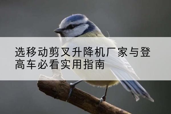 磁县电动升降机厂家-选移动剪叉升降机厂家与登高车必看实用指南