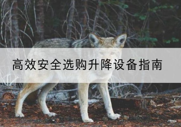 磁县升降货梯厂家推荐-*安全选购升降设备指南