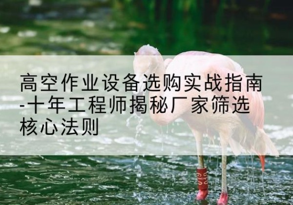 磁县剪叉式升降机厂家-高空作业设备选购实战指南-十年工程师揭秘厂家筛选核心法则